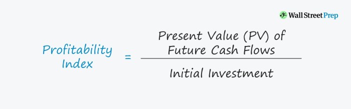 Cara menghitung profitability index