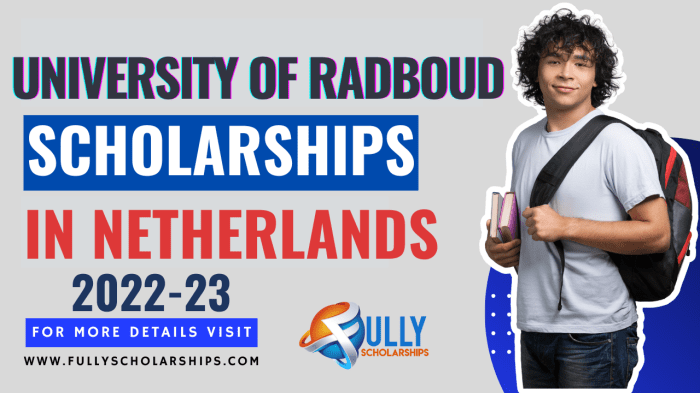 Radboud university scholarship s2 1