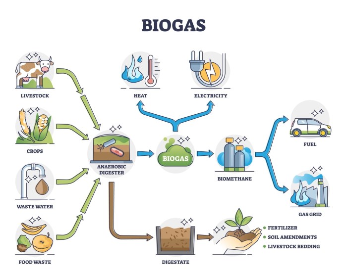 Pengertian biogas dalam ilmu lingkungan