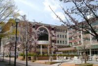 Ritsumeikan university gs s1 3