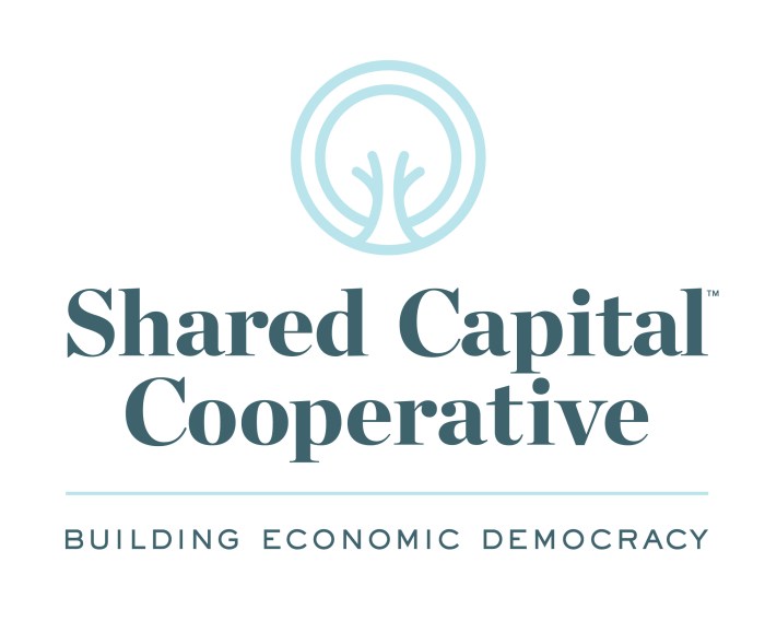 Capital share company types