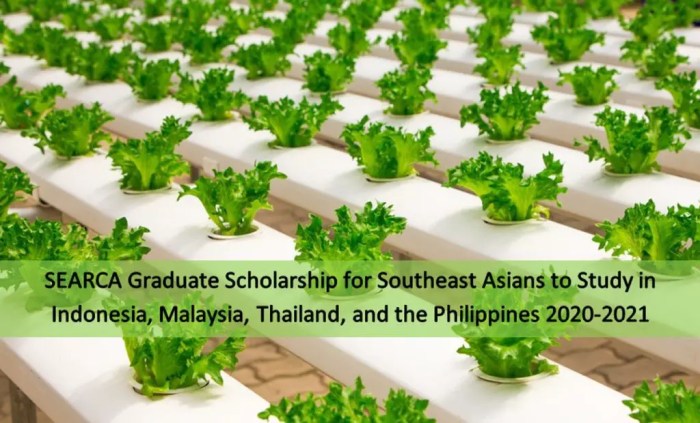 Tokyo university of agriculture searca scholarship for dissertation doctorate program s3 1