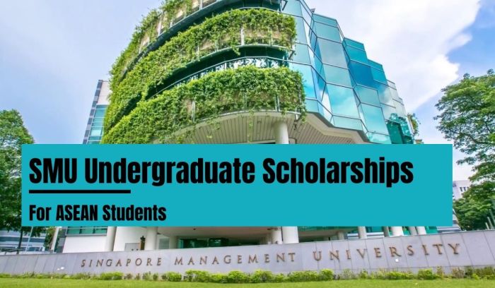 Scholarship asean undergraduate