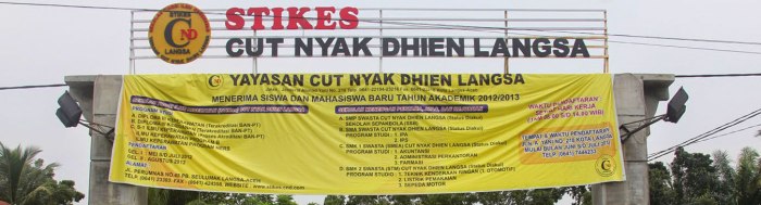 Universitas sains cut nyak dhien langsa