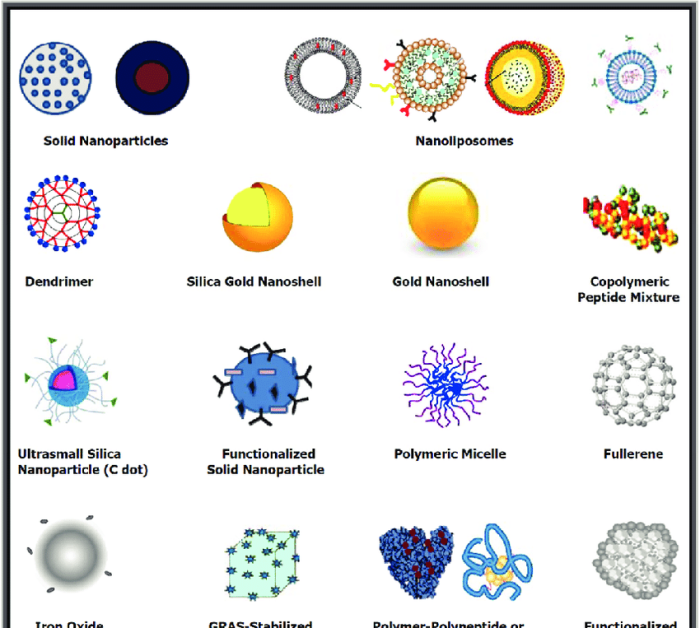 Erasmus nanomedicine for drug delivery nanomed s2 1