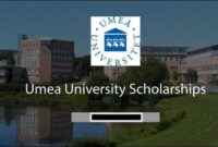 Beasiswa s2 di umea university swedia