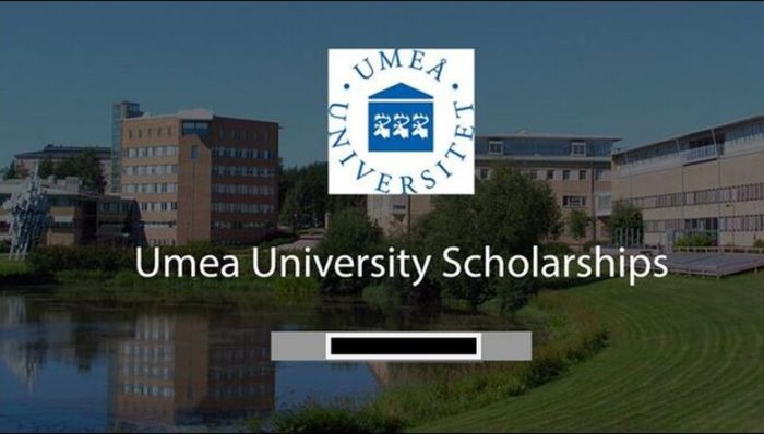 Beasiswa s2 di umea university swedia