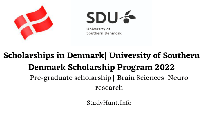 Beasiswa s2 di university of southern denmark