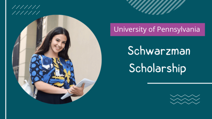 Schwarzman scholarship s2 1