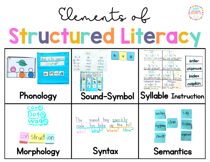 Contoh literasi tema pendidikan