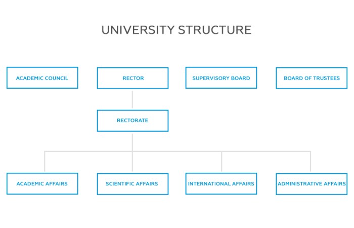 University chart organization college school education professional flowcharting software