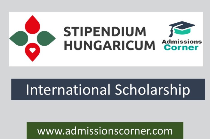 Stipendium hungaricum scholarship program copy s2 1 0wb5u