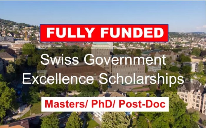 Swiss government excellence scholarships postdoctoral scholarship copy s3 1 LB0e4