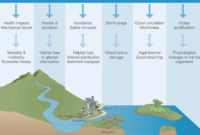 Erasmus coastal hazards risks climate change impacts and adaptation coasthazar s2 1