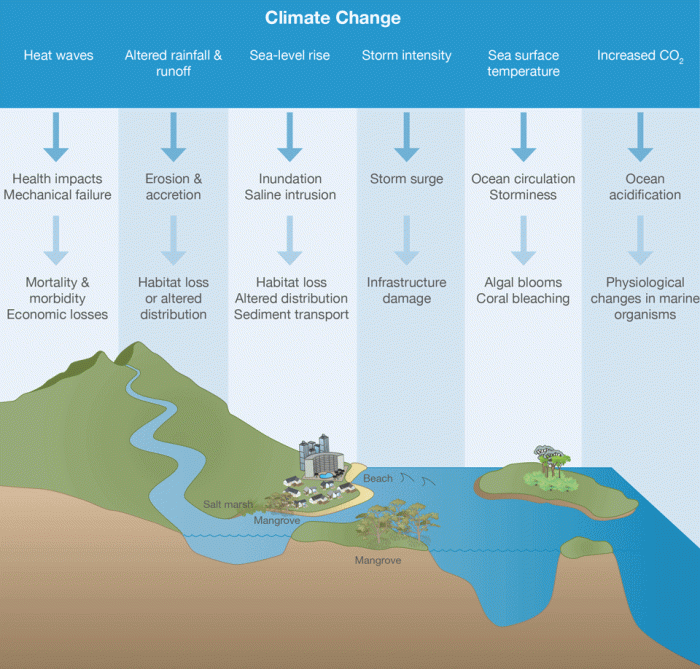 Erasmus coastal hazards risks climate change impacts and adaptation coasthazar s2 1