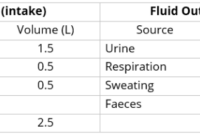 Cara menghitung intake dan output cairan