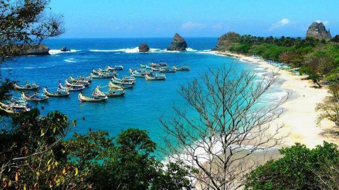 Sejarah pantai papuma jember