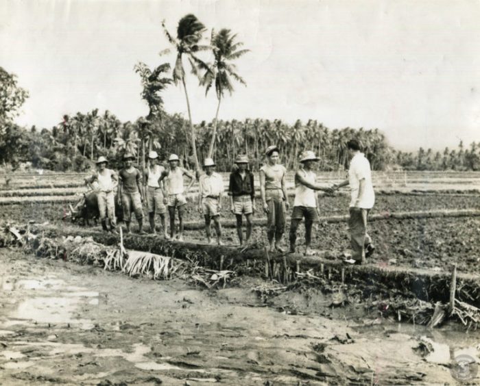 Sejarah perkembangan pertanian di indonesia