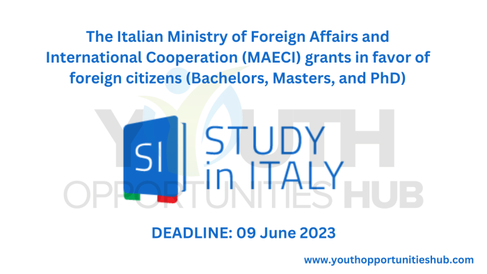 Ministry of foreign affairs and international cooperation maeci s3 1izJm