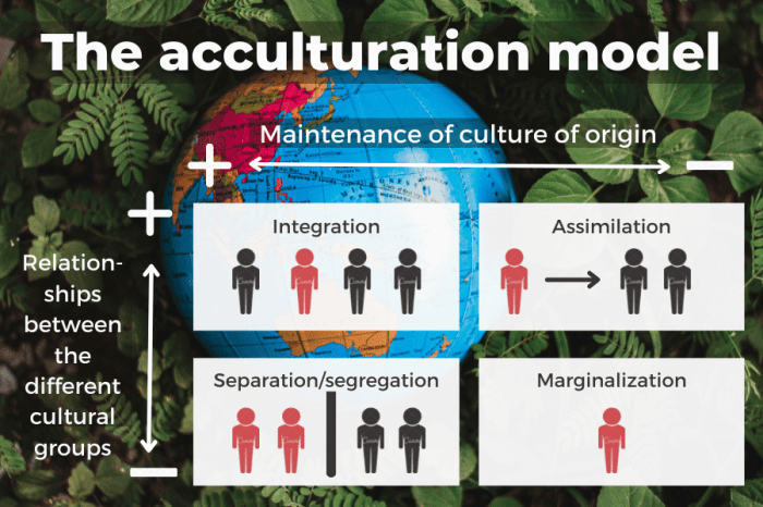 Acculturation initiative drives better