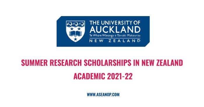 The university of auckland summer research scholarship nondegree 1