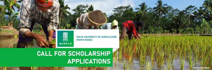 Tokyo university of agriculture searca scholarship for dissertation doctorate program s3 1