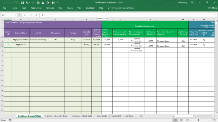 Compensation total template statement spreadsheet employee examples plan statements regard excel benefit financial sample calculator google spreadshee throughout db worksheets