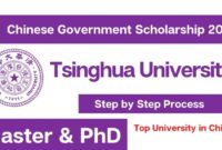 Tsinghua university chinese government scholarship copy s1 1 rItWO