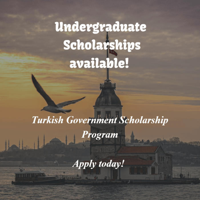 Scholarships undergraduate turkish government