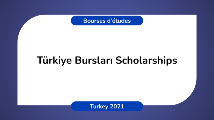 Turkiye burslari scholarship s3 1