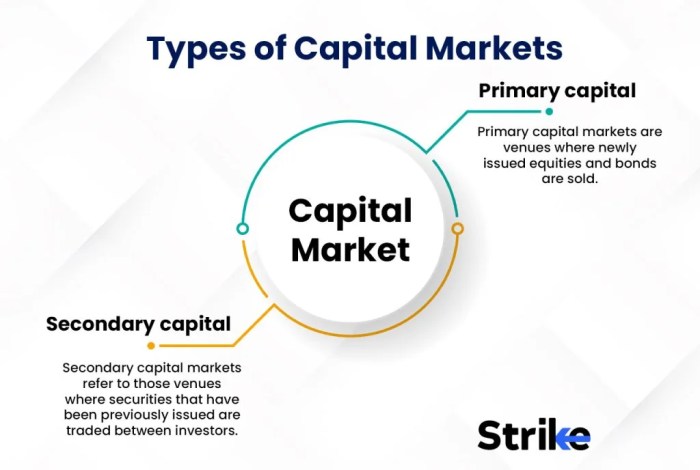 Capitol building washington dc vintage capital united states congress government vs stock gerrymandering not public difference history end which pv