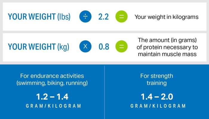 Cara menghitung kebutuhan protein untuk membentuk otot