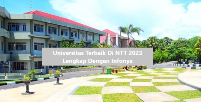 Universitas ntt