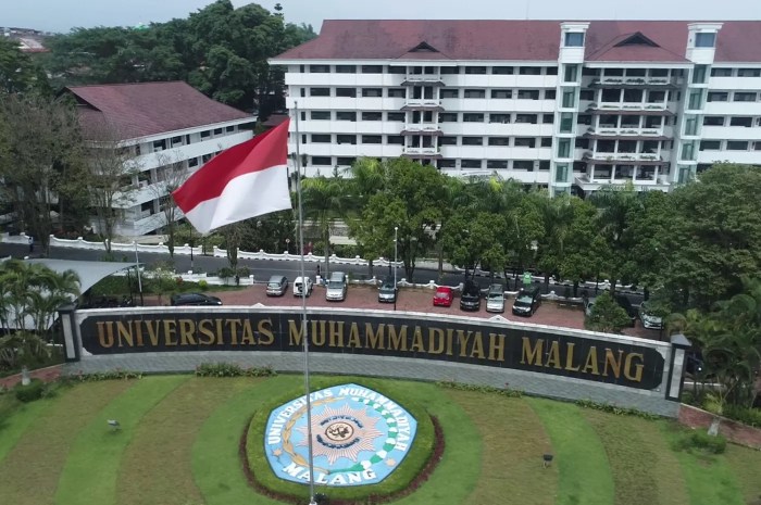 Ijazah universitas muhammadiyah malang