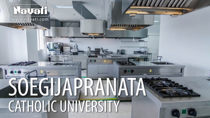 Universitas katolik soegijapranata biaya