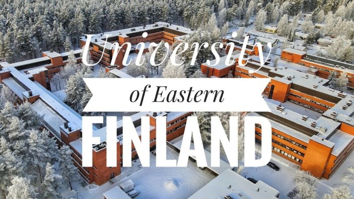 Finland scholarship university of eastern finland copy s2 1 KjYGv