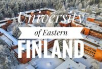 Finland scholarship university of eastern finland s2 1