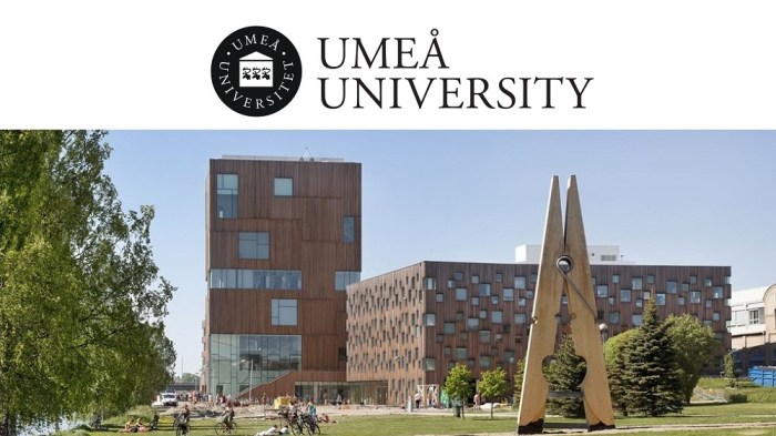 Umea economics