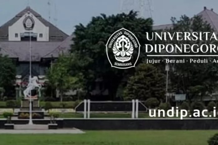 Fakultas yang ada di undip