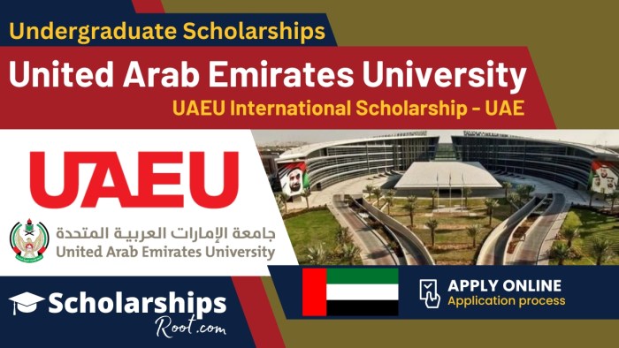 United arab emirates university ph d scholarship s3 1