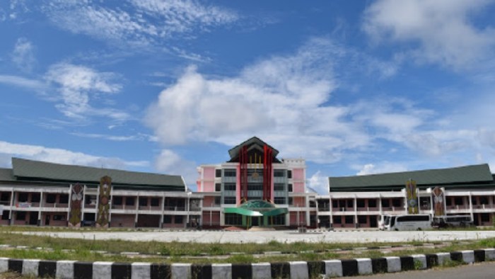 Universitas kristen papua