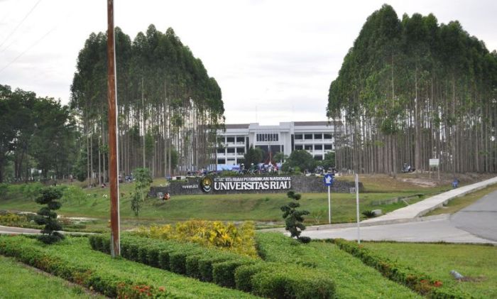 Universitas di kepulauan riau