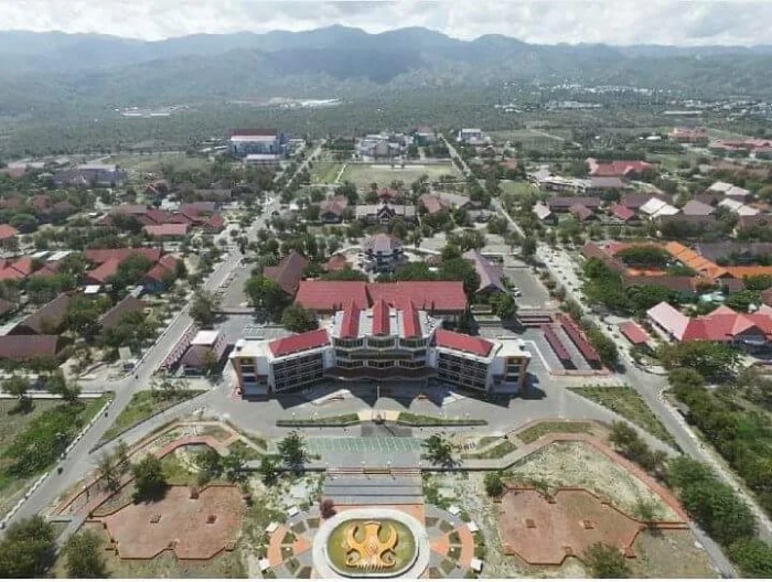 Rumah sakit universitas tadulako