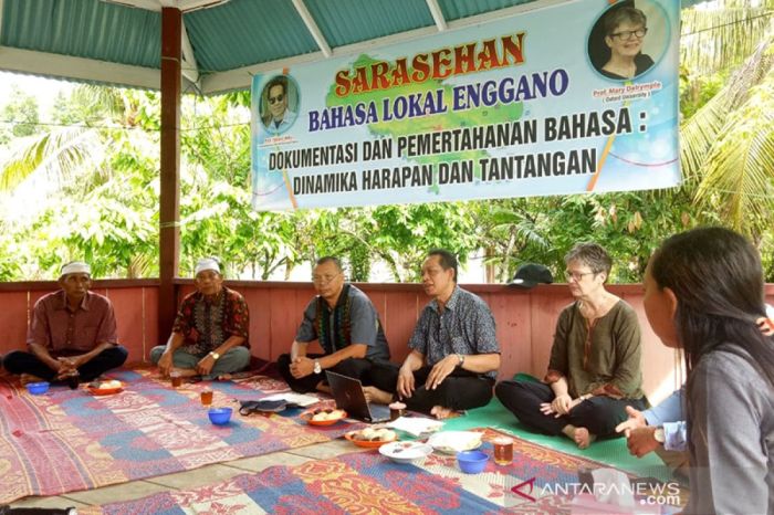 Universitas yang ada di bengkulu