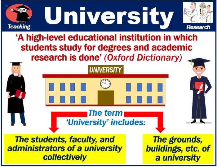 Apa itu universitas