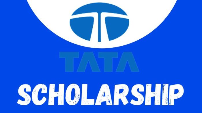 Beasiswa riset di india insa jrd tata fellowship