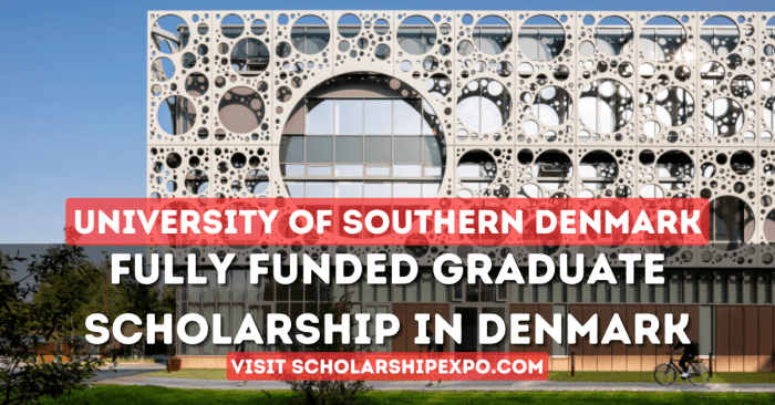 Denmark southern university scholarship