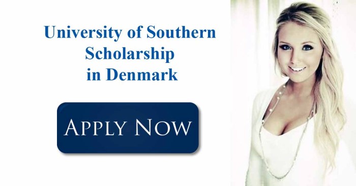 Beasiswa full s2 teknik di university southern denmark