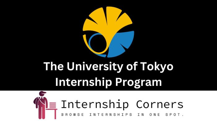 The university of tokyo summer internship program in kashiwa nondegree 1