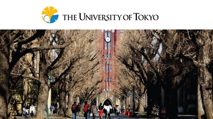 Todai fellowship the university of tokyo copy s3 1 Pr8ZF